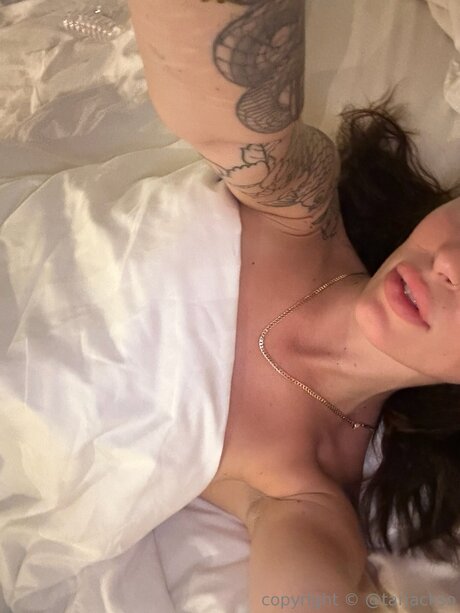 Taragracex free model image