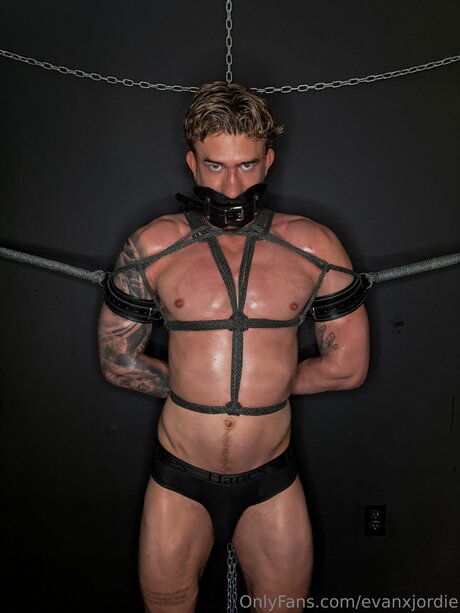 Evanxjordie pornstar perfect pic