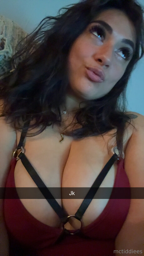 Mctiddiees high quality pornstar gallery