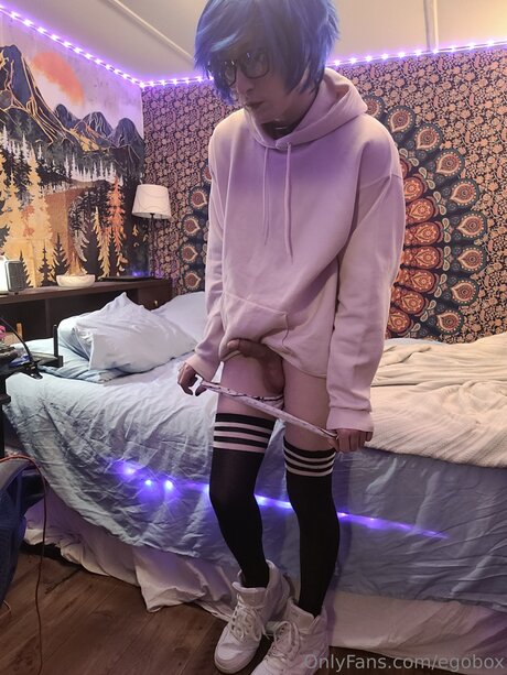 Egobox model art images