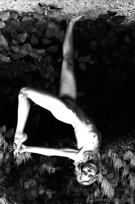 Groficaanastazija art actress gallery