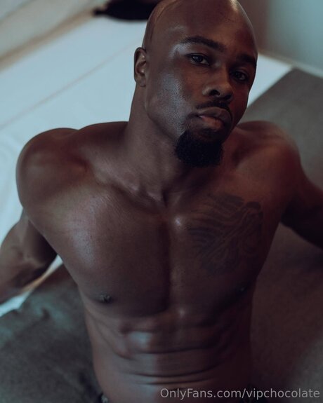 Vipchocolate adult model img