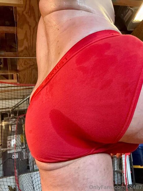 T2487 model pornographic photos