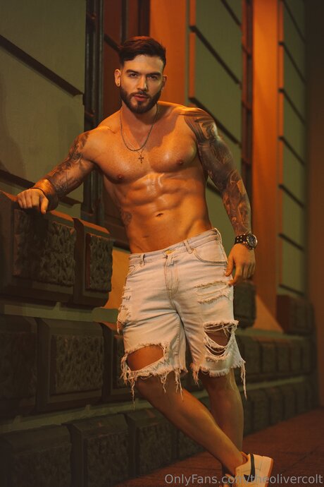 Theolivercolt pornstar adult img