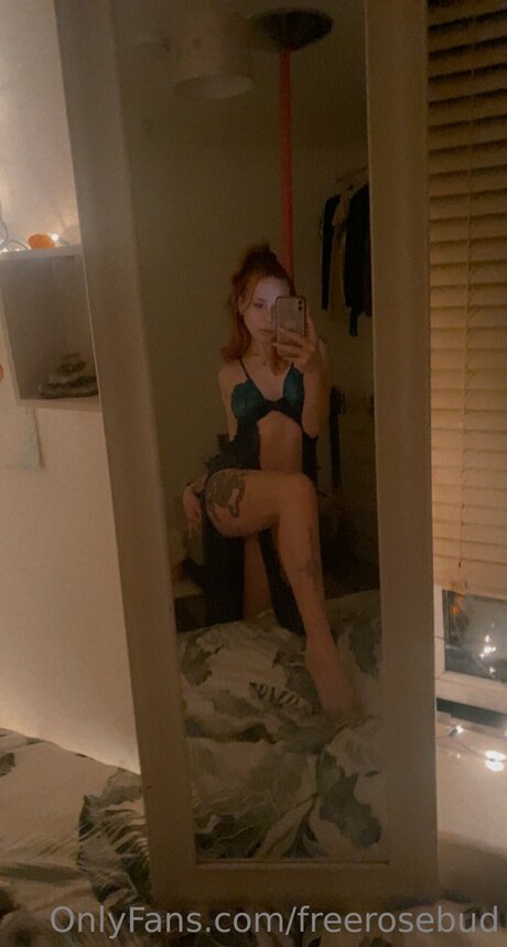 Freerosebud star art pic