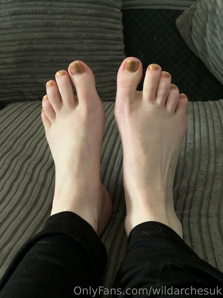 Wildarchesuk star perfect pic