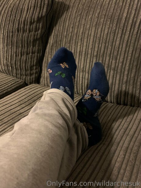 Wildarchesuk best model image