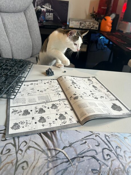 Emyangofficial pornstar exclusive pics