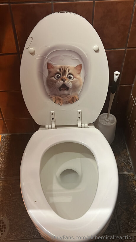 Alchemicalreaction model adult galleries