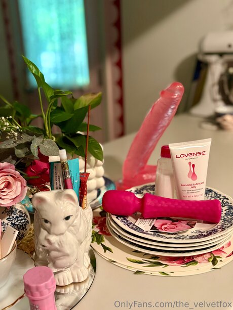 The Velvetfox model xxx picture