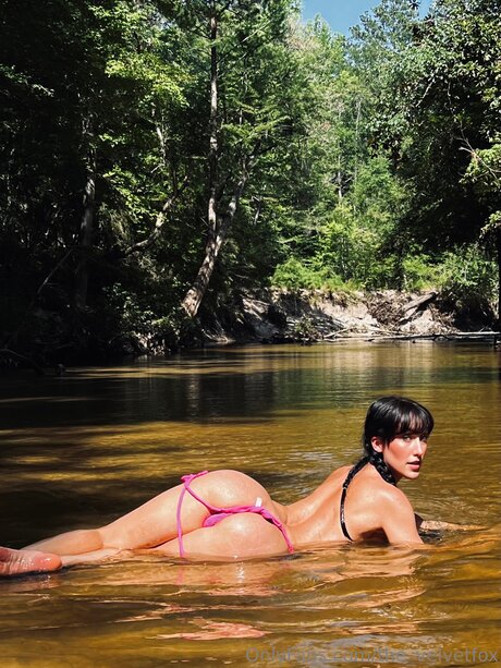 The Velvetfox pornstar best pictures