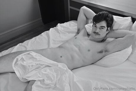 Zanephallic nudes pornstar galleries