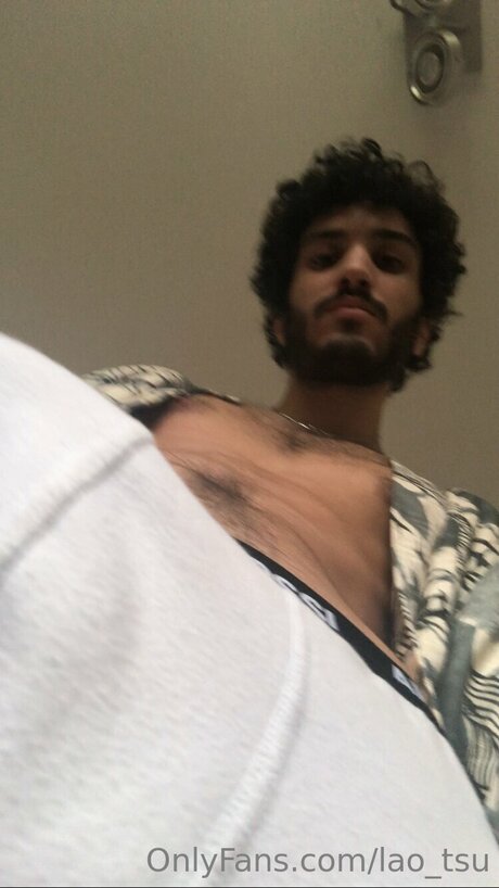 Lao Tsu model perfect images