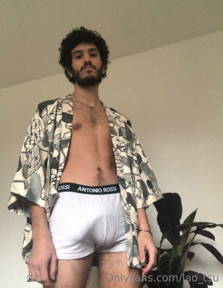 Lao Tsu high quality model pic