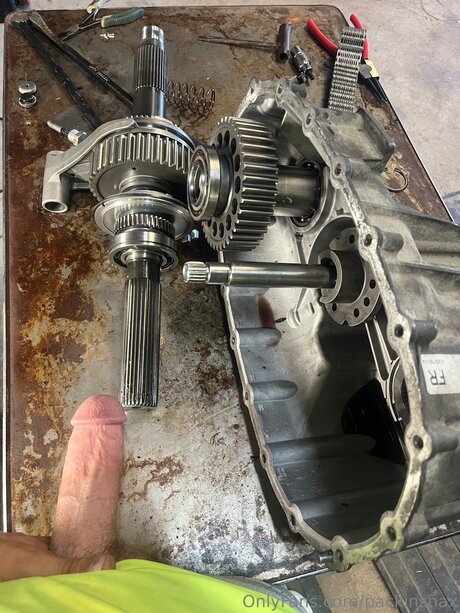 Packinsnax star nudes pics