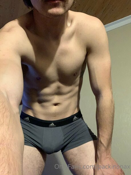 Packinsnax pornstar art picture