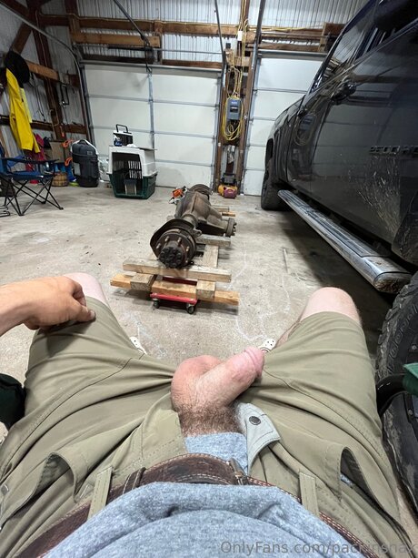 Packinsnax star best archive