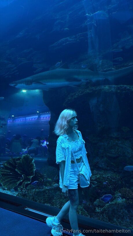 Taitehambelton pornographic star gallery