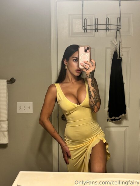 Ceilingfairy hd pornstar galleries