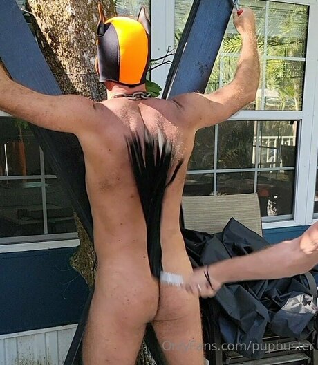 Pupbuster free pornstar archive