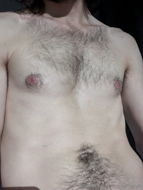 Aleksqrdn perfect pornstar galleries