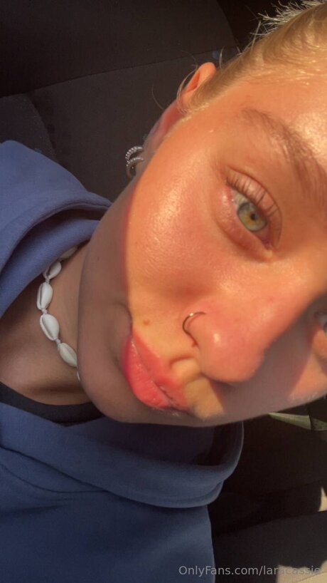 Laracassie model perfect galleries