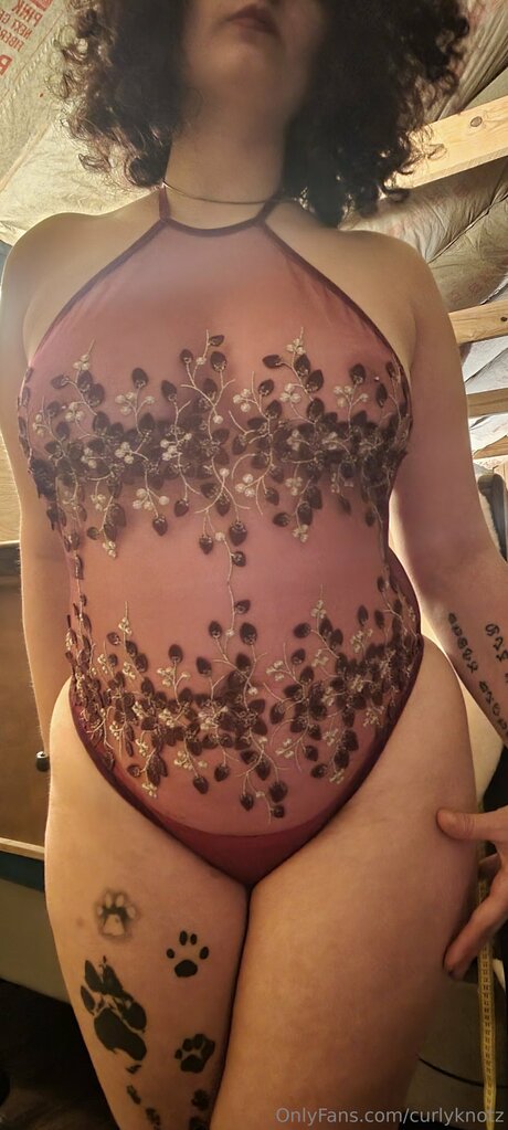 Curlyknotz adult star img