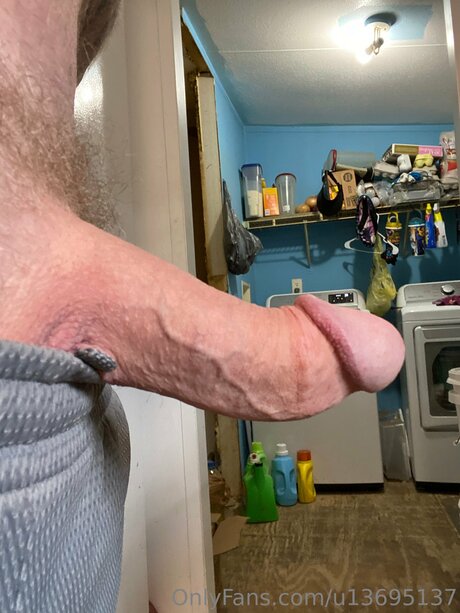 U13695137 nice pornstar image