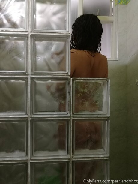 Perriandohot perfect star galleries