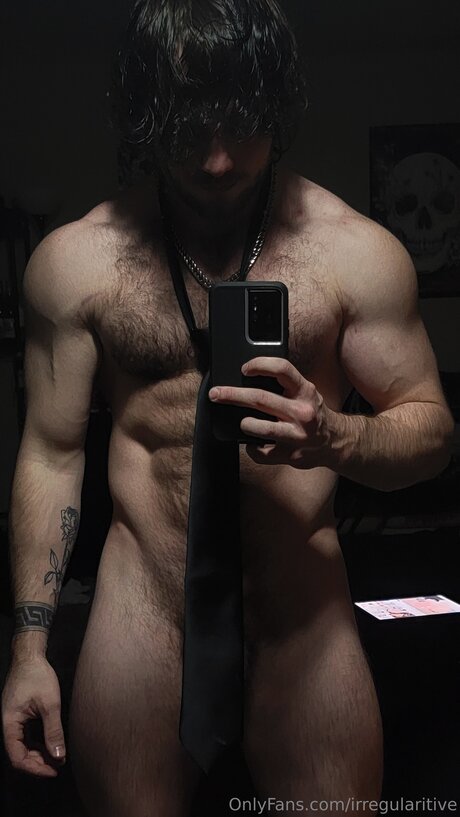 Irregularitive perfect model galleries