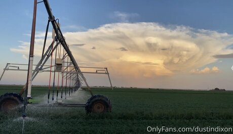 Dustindixon adult star image