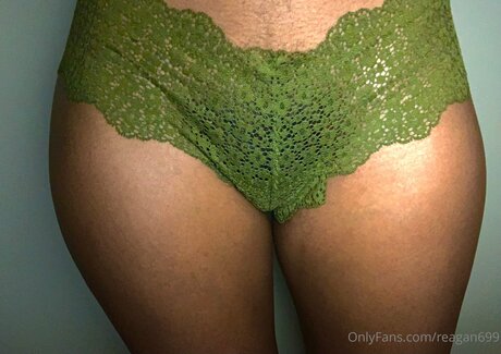 Reagan699 art model pictures