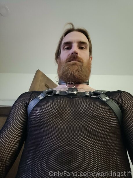 Workingstiff beautiful star img