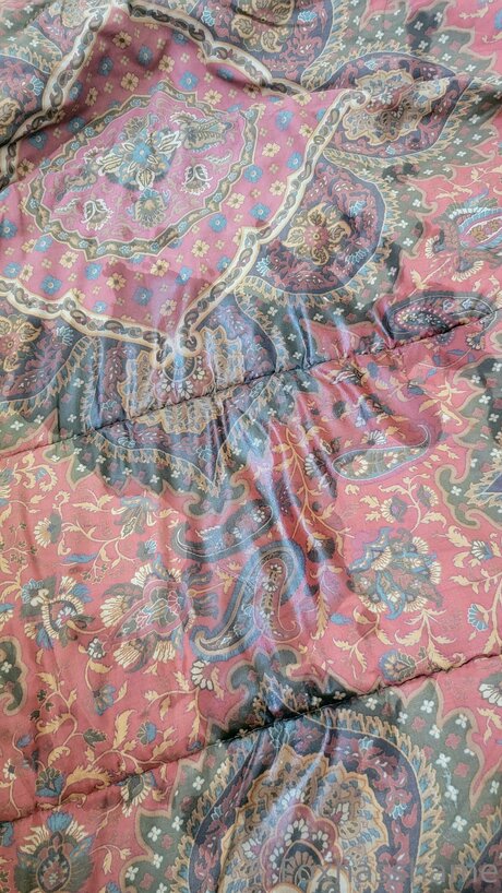 Foxhasshame star erotic picture