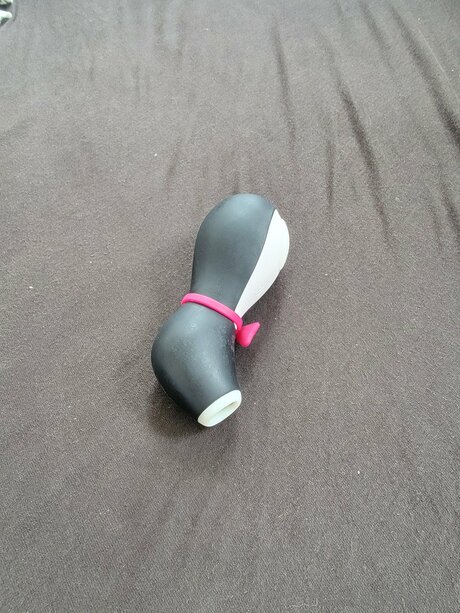 Foxhasshame model erotic archive