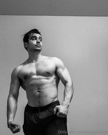 Sugar Dom high quality model picture