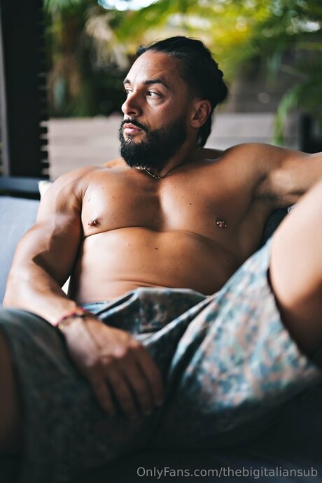 Thebigitaliansub model best images