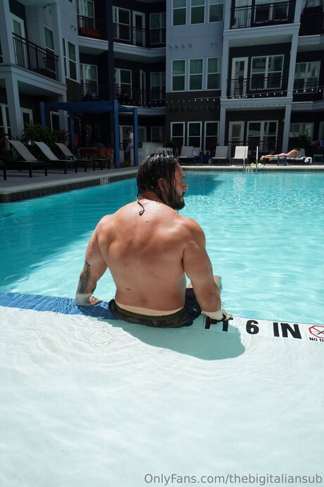 Thebigitaliansub adult actress galleries