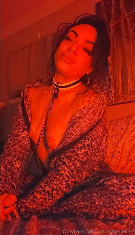 Daceybellefree hot pornstar photo