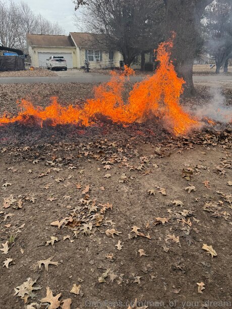 Man Of Your Dream star pornographic photo