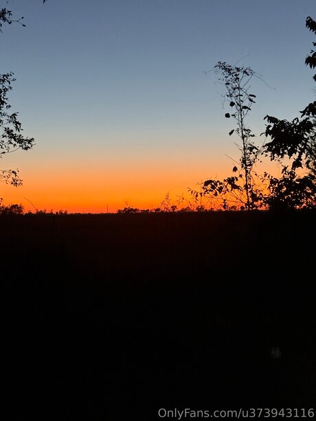 Man Of Your Dream nice star pics