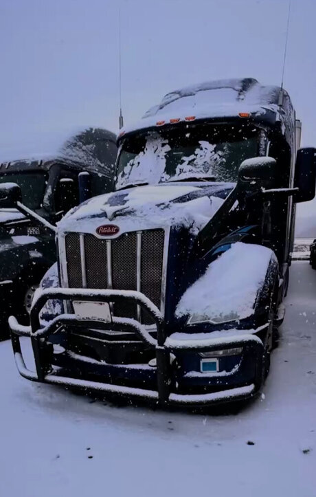 Mrprince Unlocked adult model pictures