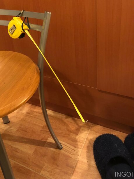 Ingoi free star photo