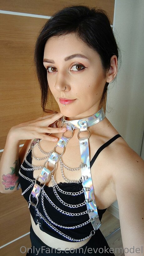 Evokemodel hd model images