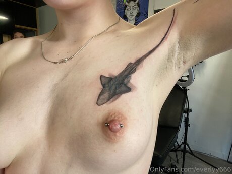 Everlyy666 art actress galleries