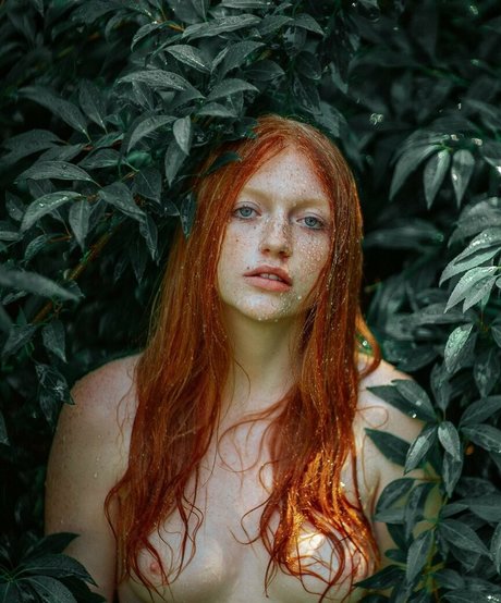 Lilianna Ruger star pornographic galleries