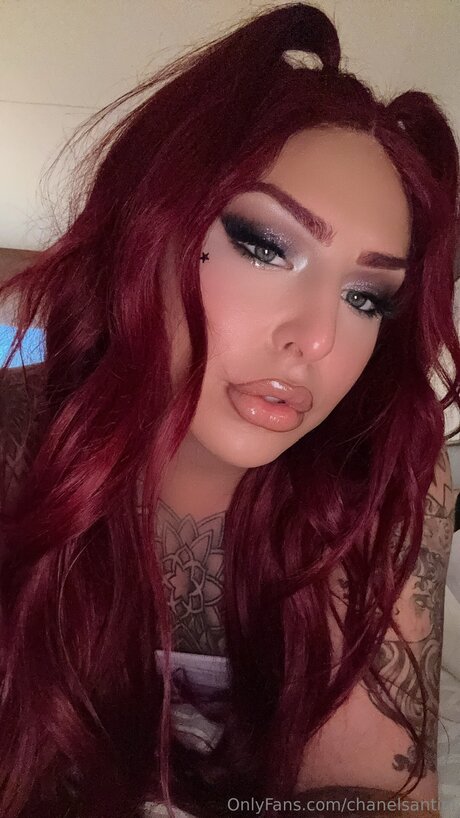 chanelsantini top star picture