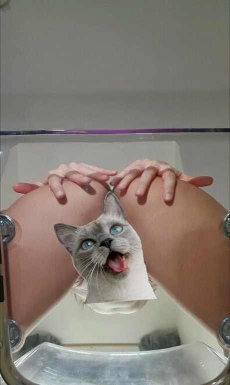 candycatcris model porn pics