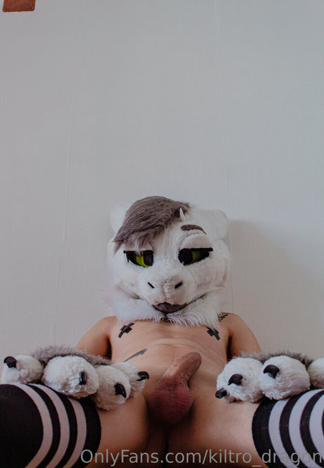 kiltro dragon star high quality pictures