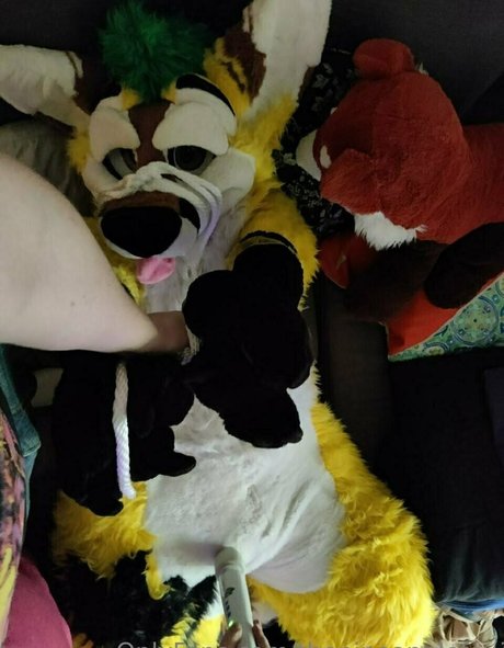 thepineapplefox nice star picture